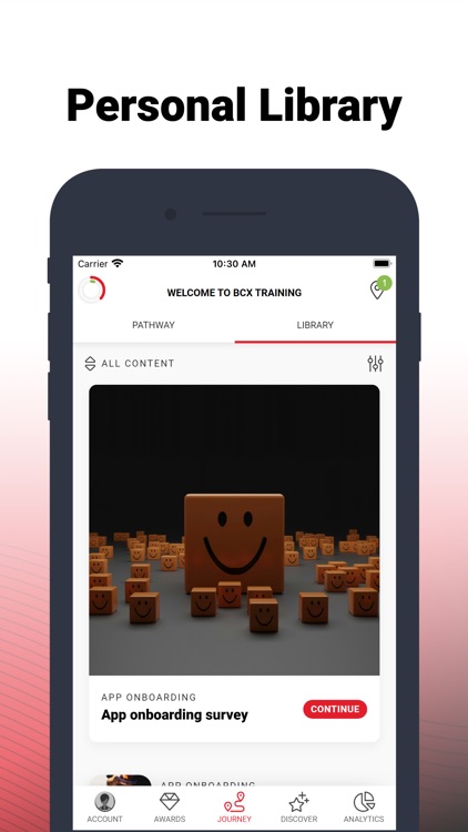 BCX Training Academy