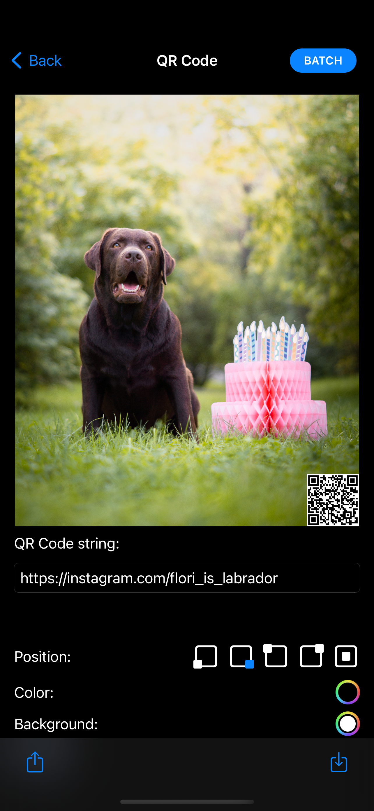 Marca de agua digital: QR code