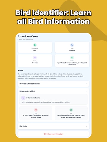 Bird Identifier - Birdify iPad screenshot