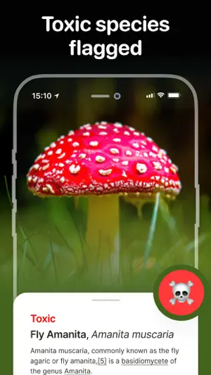 Mushroom Identifier: Foraging screenshot 3