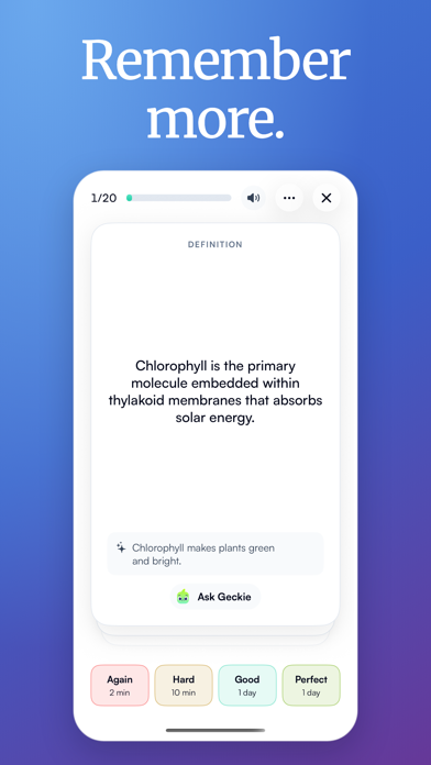 Screenshot 4 of Quizgecko: AI Quiz Maker App