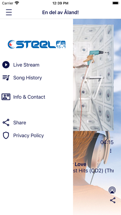 Screenshot #2 pour STEEL FM