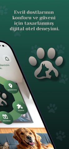 Pawley Club: Pet Otel & Kamera screenshot