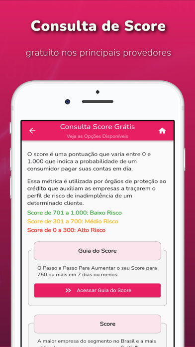 Consulta CPF, Score e Dívidas Screenshot
