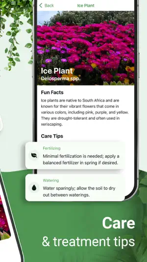 Plant identifier - Botanist screenshot 2