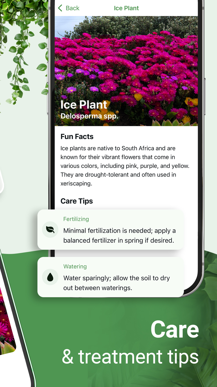 Plant identifier - Botanist