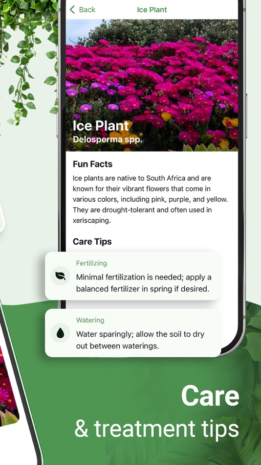 #2. Plant identifier - Botanist (iOS) Bởi: Eilon Udi
