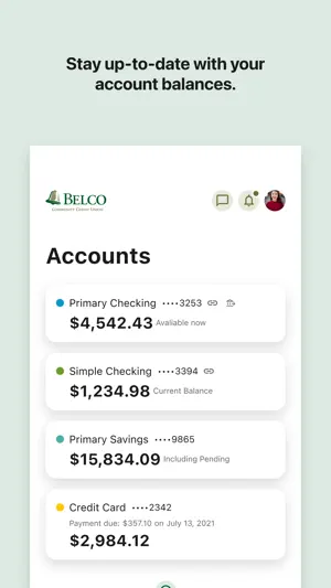 Belco Money Manager screenshot 3