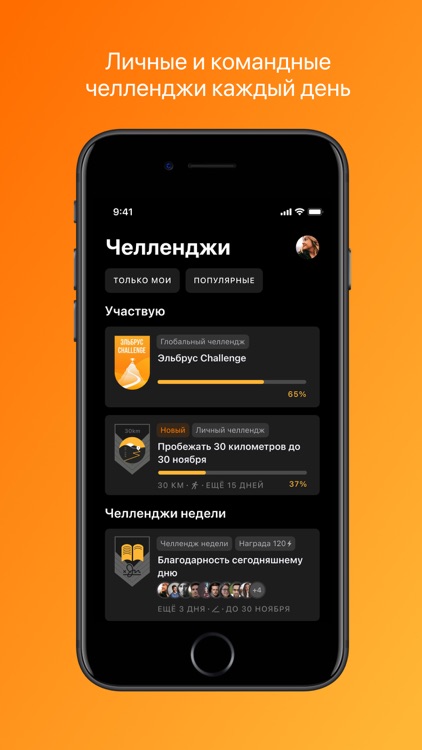 Движение Полюс