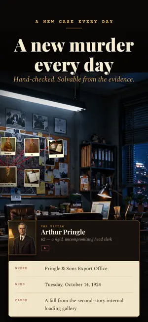 Murder Mystery: Daily Case screenshot 3
