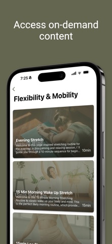Exolt EMS Studio screenshot