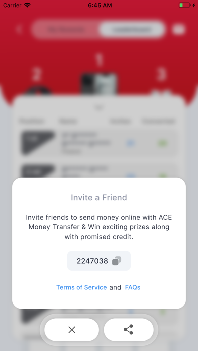 ACE Money Transfer Screenshot