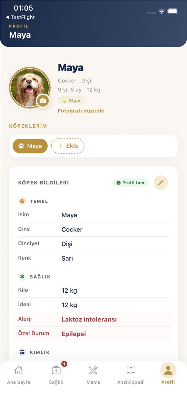 iPhone screenshot