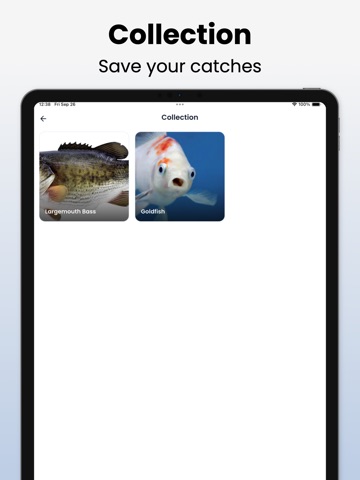 Fish Identifier - Fishby iPad screenshot