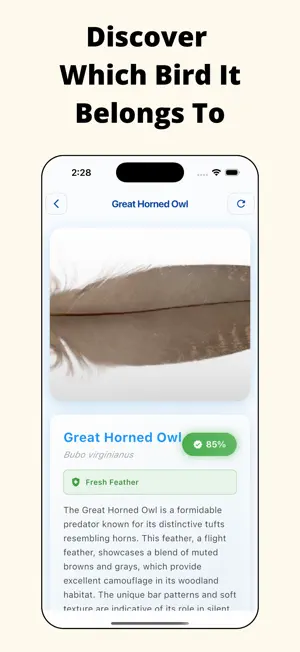 Feather Identifier: AI Scan screenshot 3