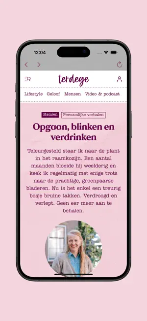 Terdege Magazine screenshot 3