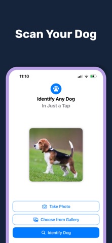 Dog Breed Scanner AI screenshot