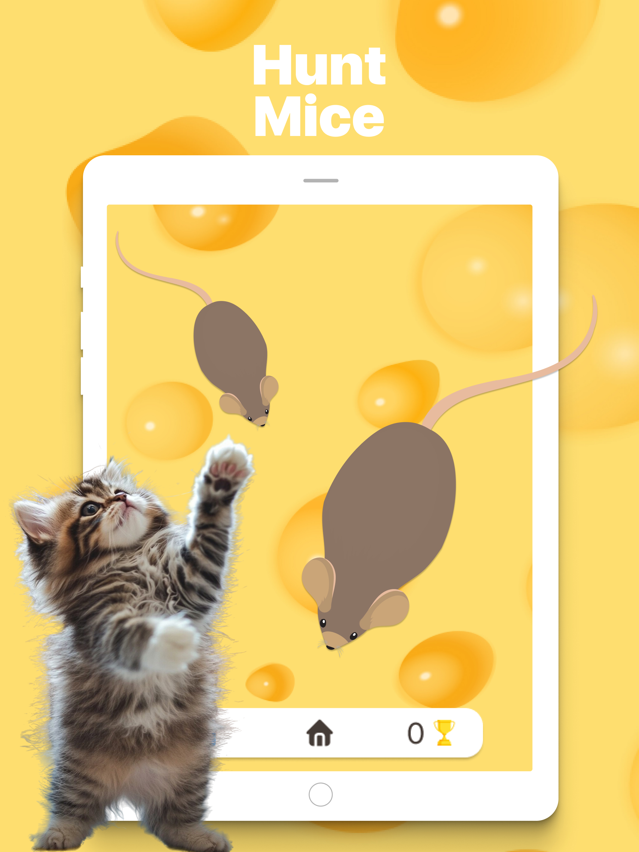 Cat Play: Mouse & Laser screenshot 8