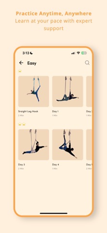 Aerial by Keiran Cho iPhone screenshot