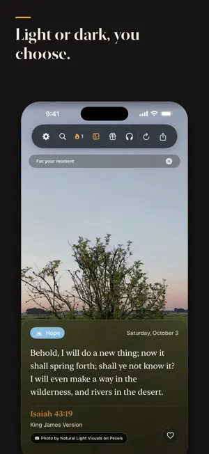 Bible Verses - Daily Bread screenshot 4