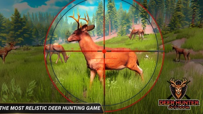 Sniper Hunting: Shooting Games Screenshot