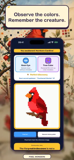 Pixel Wonders screenshot 1
