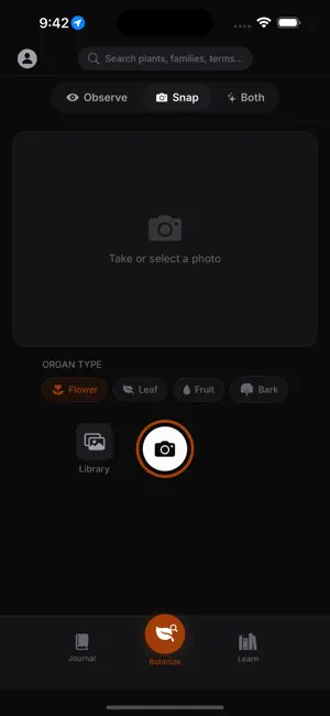 RadicleBotany screenshot 3