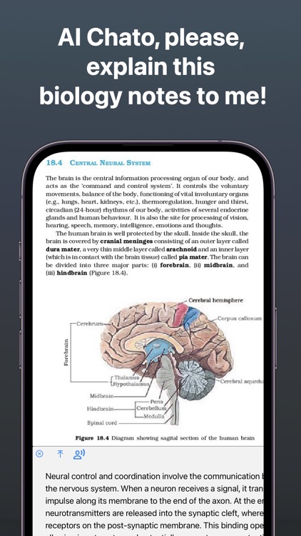 Chatbot 4o, OCR, TTS: AI Chato