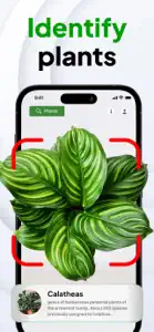 AI Plant ID - Identifier screenshot #1 for iPhone