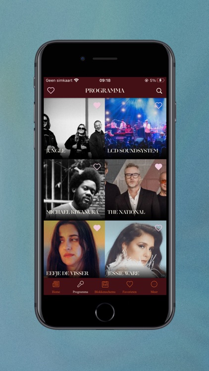 Down The Rabbit Hole 2025