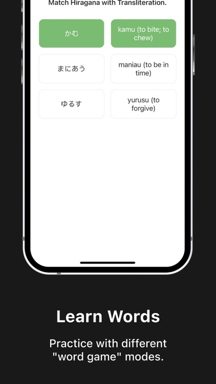 Nihon Master & Learn Japanese screenshot-7