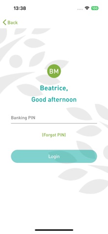 Digipesa Screenshot 3 of 10