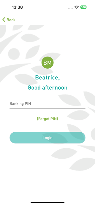 Digipesa Screenshot 3 of 10