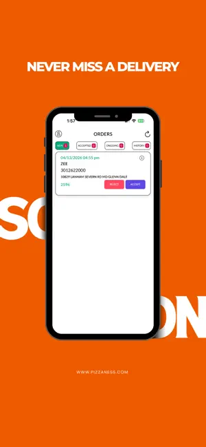 Pizzaness Driver screenshot 3
