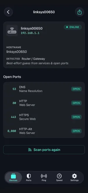 Coddiq - Network Scanner screenshot 2