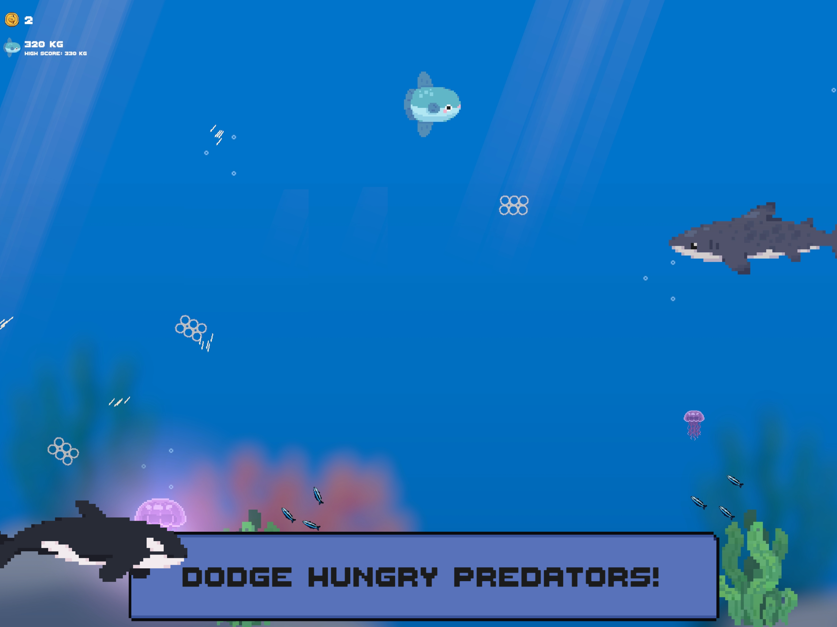 Sunfish Siesta screenshot 7