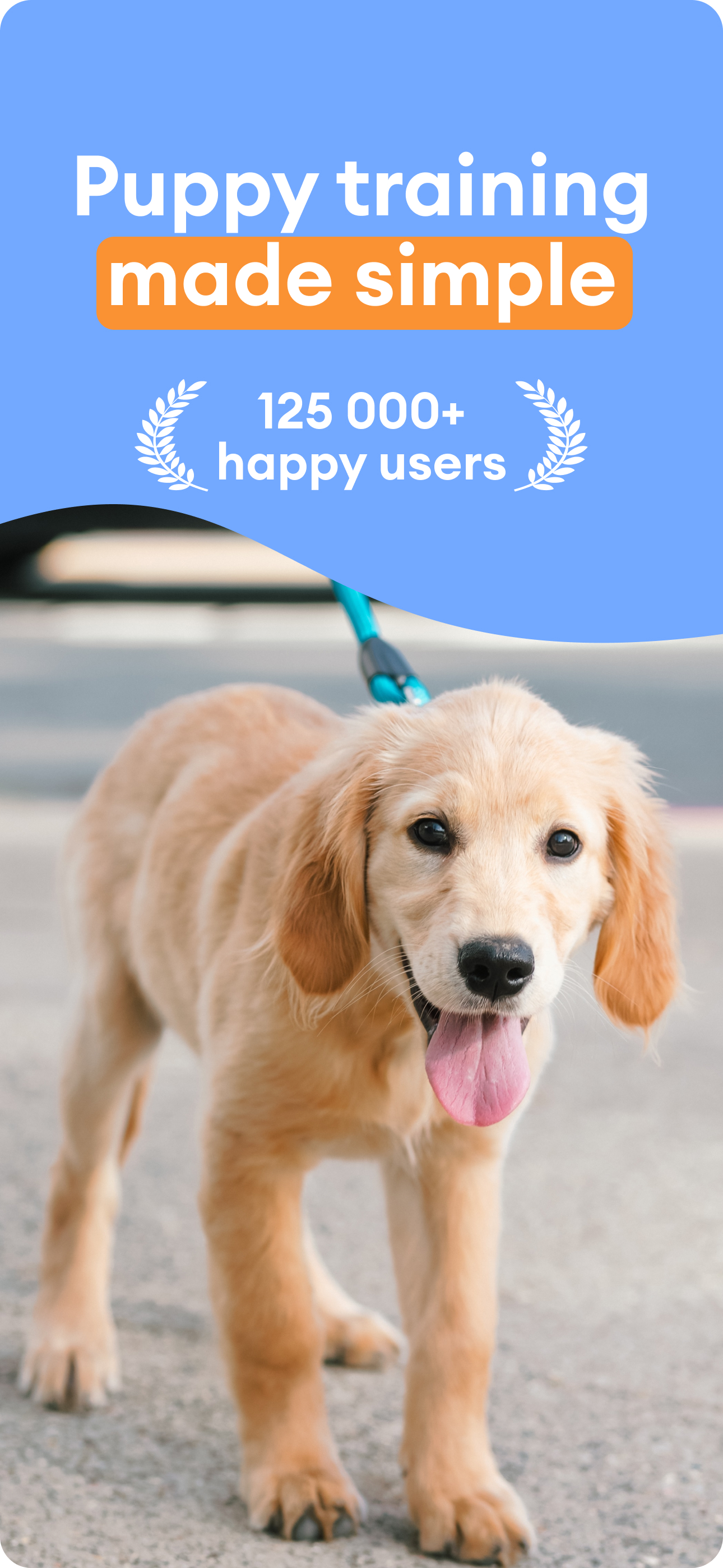 Puppy & Dog Training - Barksy