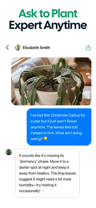 Plant App : capture d’écran 7 sur 8