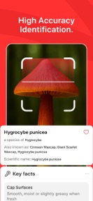 Mushroom Identifier AI PRO screenshot