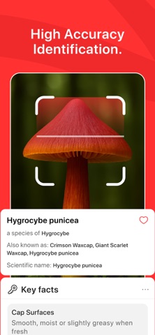 Mushroom Identifier AI PRO iPhone screenshot