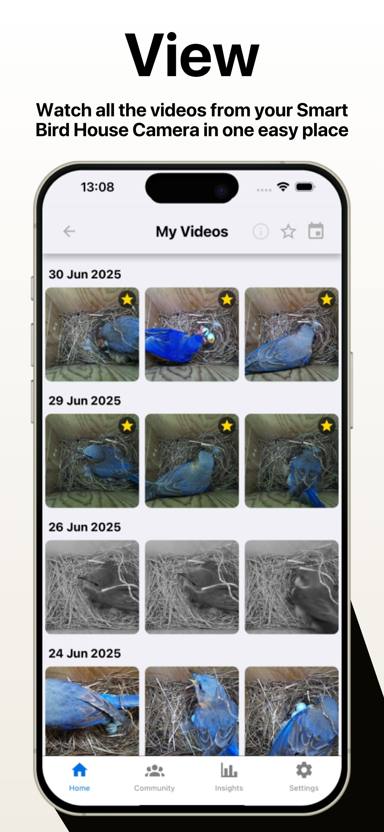 Nest Box Live