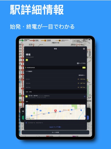 Osaka Metro - Transfer Guide iPad screenshot