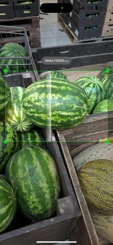 RipeMelon: Watermelon Analyzer screenshot