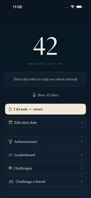 The Dry screenshot 2