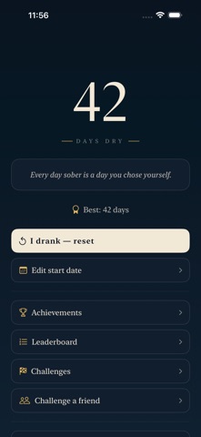 The Dry Screenshot 2 of 5