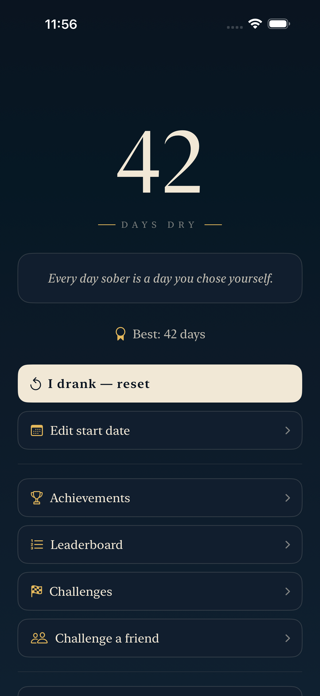 The Dry Screenshot 2 of 5