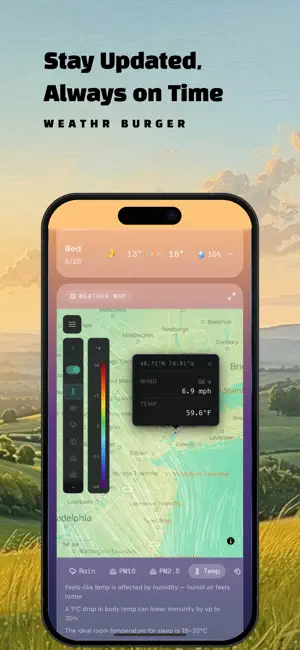 Weather Burger screenshot 4