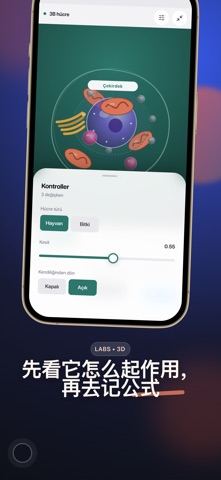 Lernig：AI学习路线 screenshot