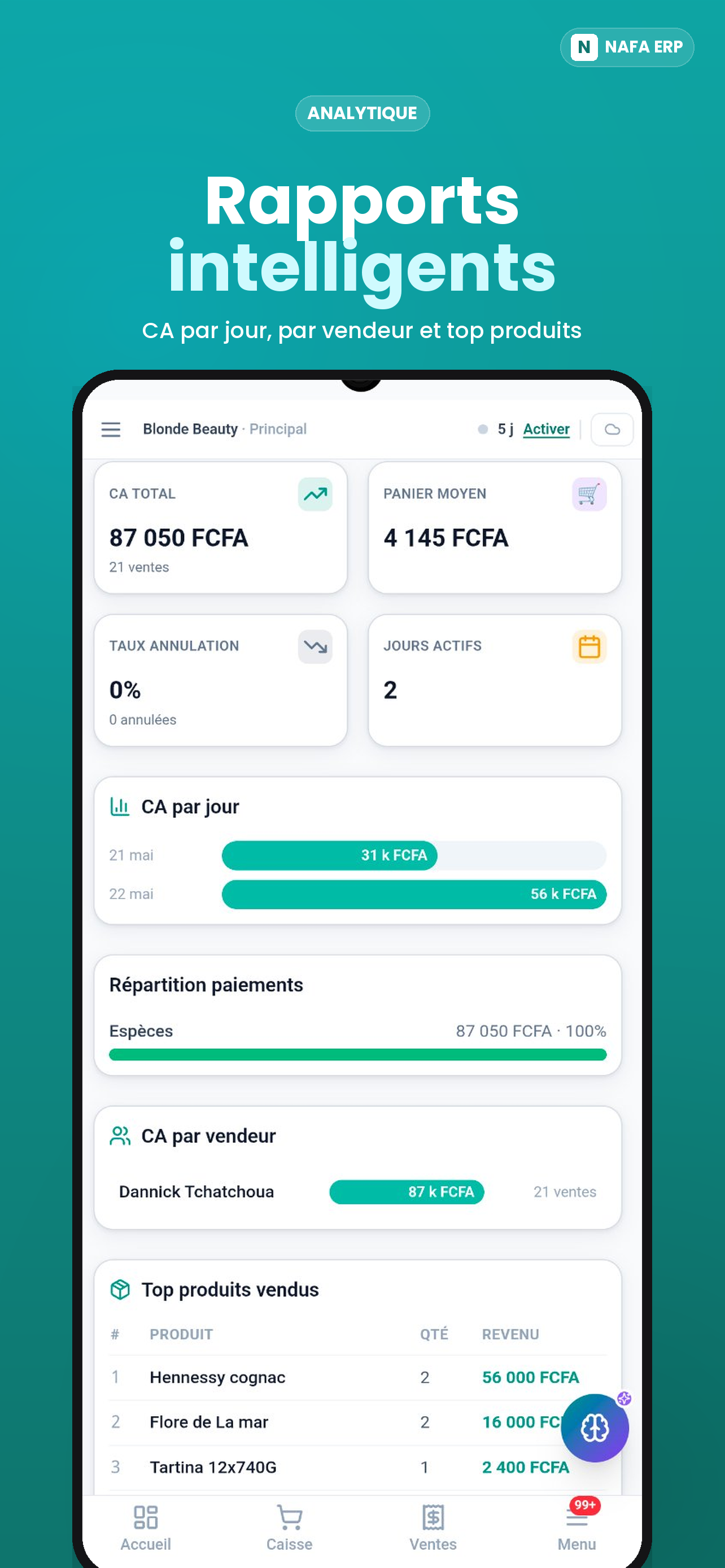 NAFA ERP screenshot 8