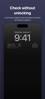 Agent Usage Monitor screenshot 2
